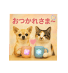 チワワくんと猫ちゃん(実写ver.)（個別スタンプ：10）