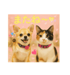チワワくんと猫ちゃん(実写ver.)（個別スタンプ：11）