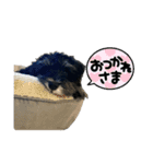 LOLO様スタンプ（個別スタンプ：9）