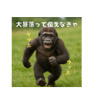 エッホウッホ！個人投資家って伝えるゴリラ（個別スタンプ：1）