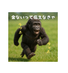 エッホウッホ！個人投資家って伝えるゴリラ（個別スタンプ：2）
