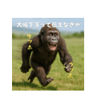 エッホウッホ！個人投資家って伝えるゴリラ（個別スタンプ：4）