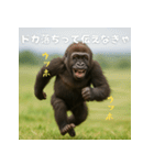 エッホウッホ！個人投資家って伝えるゴリラ（個別スタンプ：6）