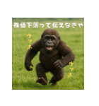 エッホウッホ！個人投資家って伝えるゴリラ（個別スタンプ：12）