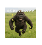 エッホウッホ！個人投資家って伝えるゴリラ（個別スタンプ：13）