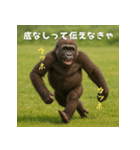 エッホウッホ！個人投資家って伝えるゴリラ（個別スタンプ：14）