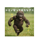エッホウッホ！個人投資家って伝えるゴリラ（個別スタンプ：15）
