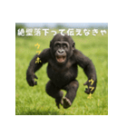 エッホウッホ！個人投資家って伝えるゴリラ（個別スタンプ：17）