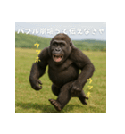 エッホウッホ！個人投資家って伝えるゴリラ（個別スタンプ：18）