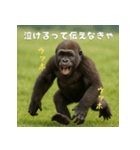 エッホウッホ！個人投資家って伝えるゴリラ（個別スタンプ：19）