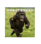 エッホウッホ！個人投資家って伝えるゴリラ（個別スタンプ：21）