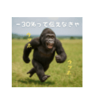 エッホウッホ！個人投資家って伝えるゴリラ（個別スタンプ：38）