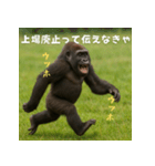エッホウッホ！個人投資家って伝えるゴリラ（個別スタンプ：40）