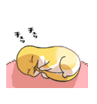 めじやも1（個別スタンプ：14）