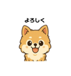 もふもふポメラニアンの毎日スタンプ（個別スタンプ：1）