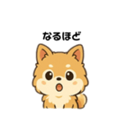 もふもふポメラニアンの毎日スタンプ（個別スタンプ：2）