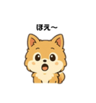 もふもふポメラニアンの毎日スタンプ（個別スタンプ：7）