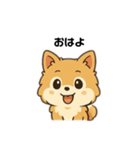 もふもふポメラニアンの毎日スタンプ（個別スタンプ：11）