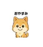 もふもふポメラニアンの毎日スタンプ（個別スタンプ：12）