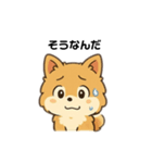 もふもふポメラニアンの毎日スタンプ（個別スタンプ：13）