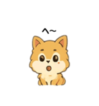 もふもふポメラニアンの毎日スタンプ（個別スタンプ：17）