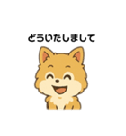 もふもふポメラニアンの毎日スタンプ（個別スタンプ：28）