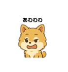 もふもふポメラニアンの毎日スタンプ（個別スタンプ：29）
