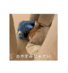 むうちのスタンプ（個別スタンプ：13）