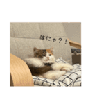 むうちのスタンプ（個別スタンプ：16）