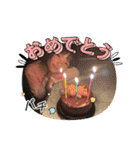 愛空姉妹スタンプ（個別スタンプ：22）