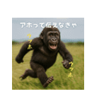 エッホウッホ！言いにくいことを言うゴリラ（個別スタンプ：3）