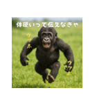 エッホウッホ！言いにくいことを言うゴリラ（個別スタンプ：17）