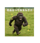 エッホウッホ！言いにくいことを言うゴリラ（個別スタンプ：20）