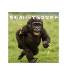 エッホウッホ！言いにくいことを言うゴリラ（個別スタンプ：21）