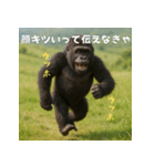 エッホウッホ！言いにくいことを言うゴリラ（個別スタンプ：22）