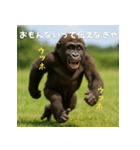 エッホウッホ！言いにくいことを言うゴリラ（個別スタンプ：24）