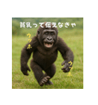 エッホウッホ！言いにくいことを言うゴリラ（個別スタンプ：26）