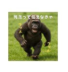 エッホウッホ！言いにくいことを言うゴリラ（個別スタンプ：30）