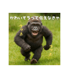 エッホウッホ！言いにくいことを言うゴリラ（個別スタンプ：31）
