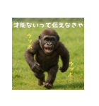 エッホウッホ！言いにくいことを言うゴリラ（個別スタンプ：37）