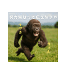 エッホウッホ！言いにくいことを言うゴリラ（個別スタンプ：39）
