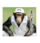 チンパのゴルファー  【毎日使える】（個別スタンプ：5）