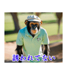 チンパのゴルファー  【毎日使える】（個別スタンプ：8）