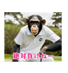 チンパのゴルファー  【毎日使える】（個別スタンプ：11）