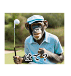 チンパのゴルファー  【毎日使える】（個別スタンプ：12）