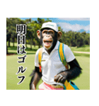チンパのゴルファー  【毎日使える】（個別スタンプ：13）