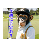チンパのゴルファー  【毎日使える】（個別スタンプ：18）