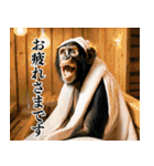 チンパのゴルファー  【毎日使える】（個別スタンプ：21）