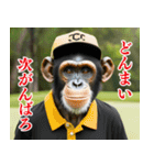 チンパのゴルファー  【毎日使える】（個別スタンプ：24）