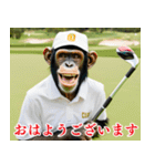 チンパのゴルファー  【毎日使える】（個別スタンプ：28）